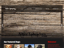 Tablet Screenshot of antlerlabradors.com